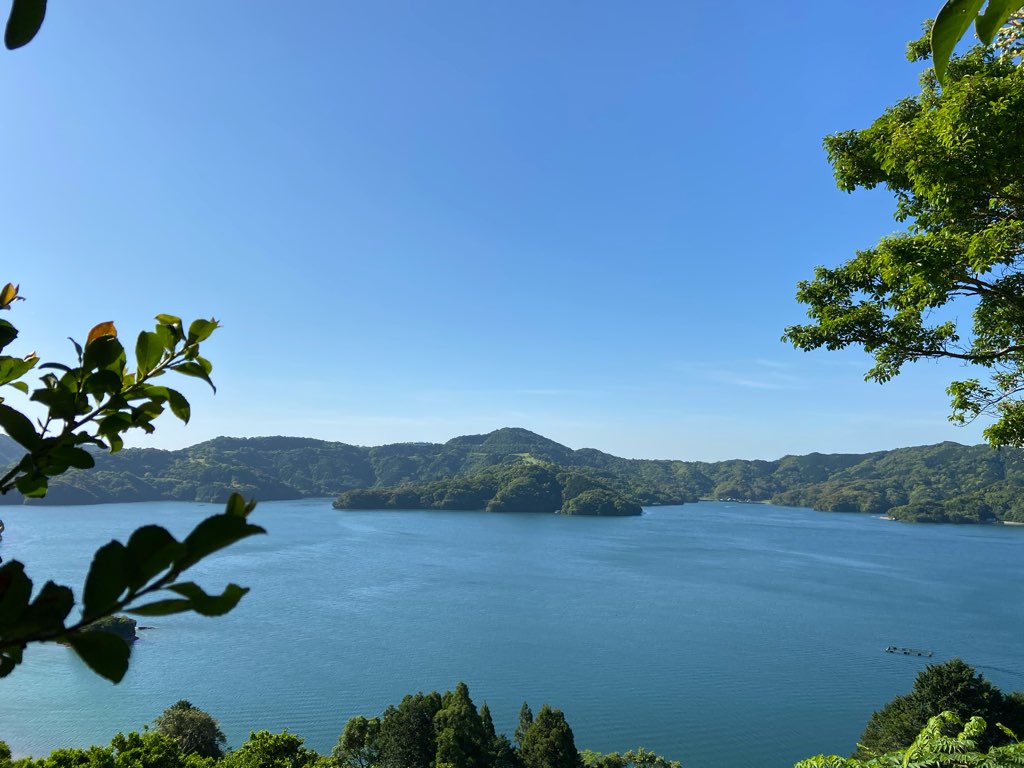 自然 栽培 の厳しさ 果樹園さかもと