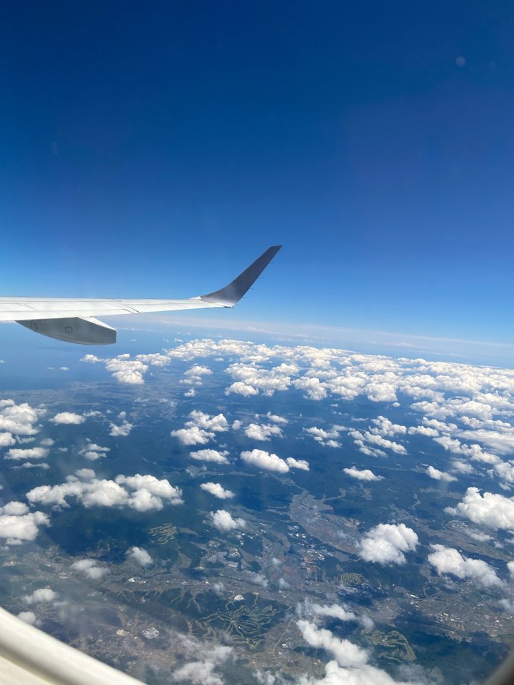 お見舞いに行く飛行機の中